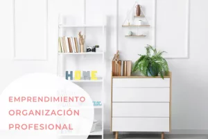 emprendimiento organizacion profesional 1
